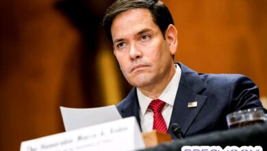 marco rubio biography